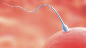 精液异常，冷冻胚胎能存活多久？