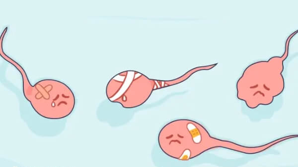 弱精症通过辅助生殖生育才能更顺利