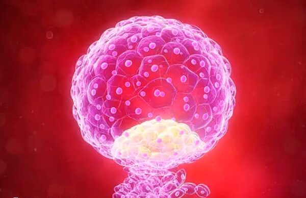 辅助性孵化后可提高植入能力