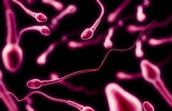 梗阻性无精子症可以选择二代试管婴儿