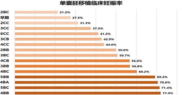 各等级囊胚移植成功率排列表