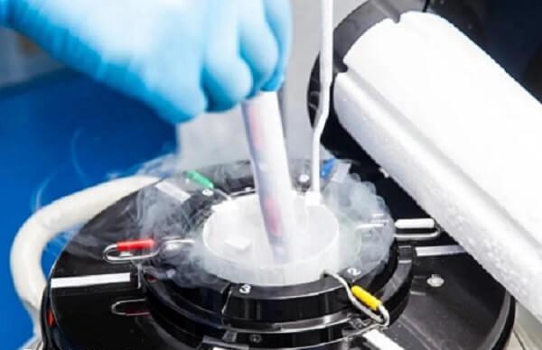 建议选择优质胚胎进行冷冻