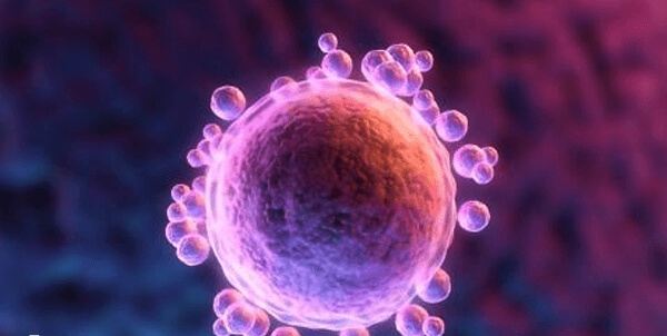 自然周期移植时间与胚胎类型有关