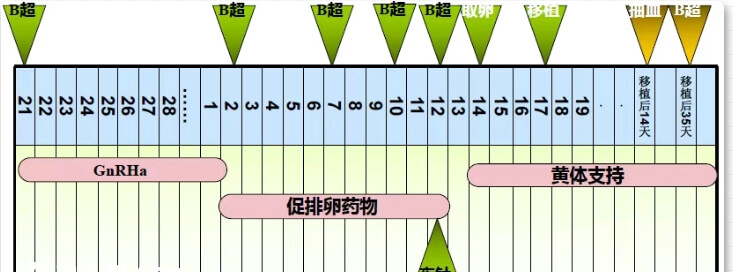 黄体期方案促排流程
