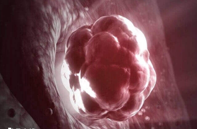 内膜薄可以做宫腔灌注