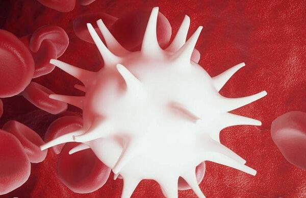 白血病不是传统意义上的遗传病