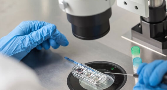 移植日移植会告知胚胎情况