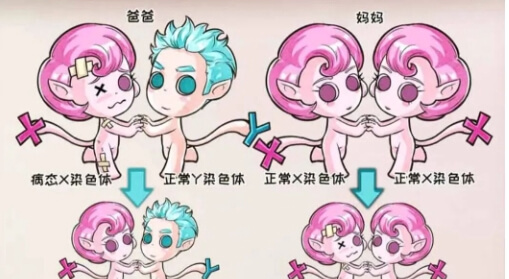 血友病遗传规律