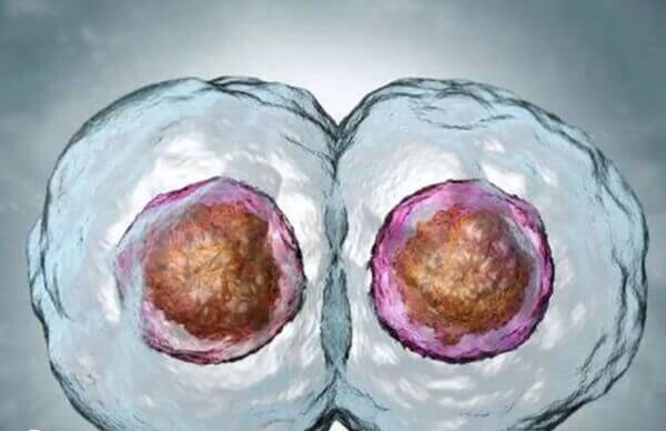 盛海琳做试管成功生育双胞胎女儿