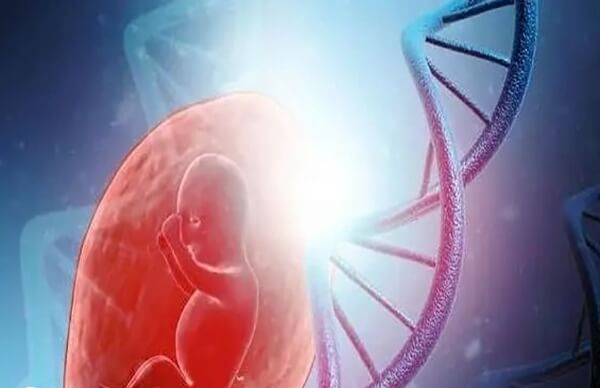 35岁以上的高龄产妇生子风险高