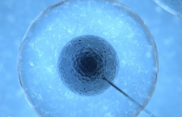 T卵P怀是用在女同性恋人身上