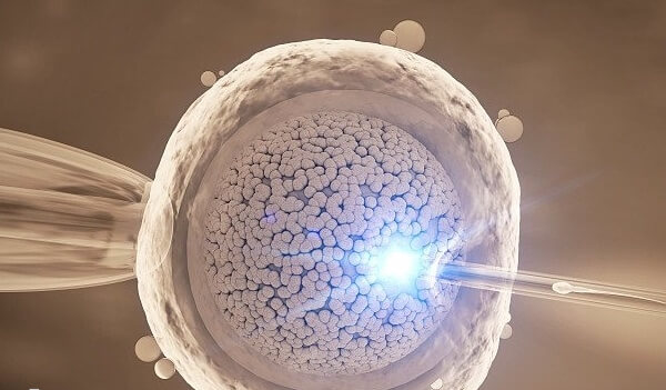 试管婴儿鲜胚移植后无需绝对卧床