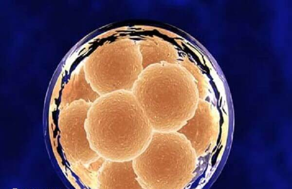 北医三院养囊短信5-7天通知