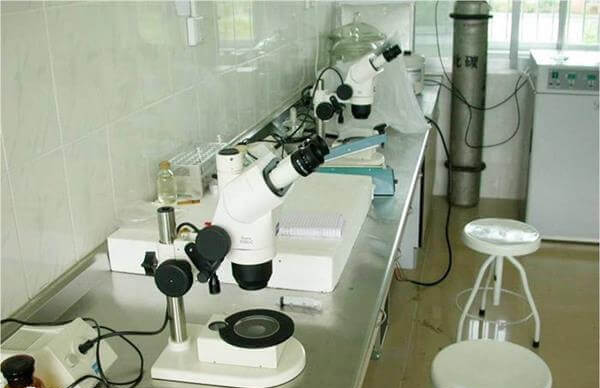 一级胚胎养囊失败可能与实验环境有关