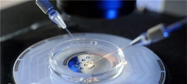 试管短方案可以鲜胚移植