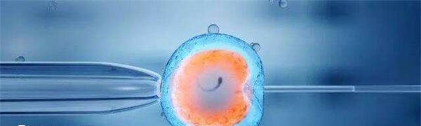 4bb胚胎的成功率很高