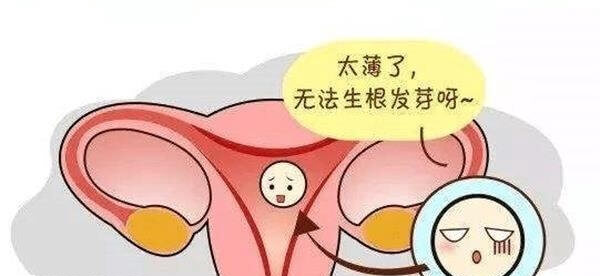 鲜胚移植须子宫内膜厚度足够