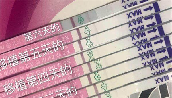 移植后的前七天都非常关键