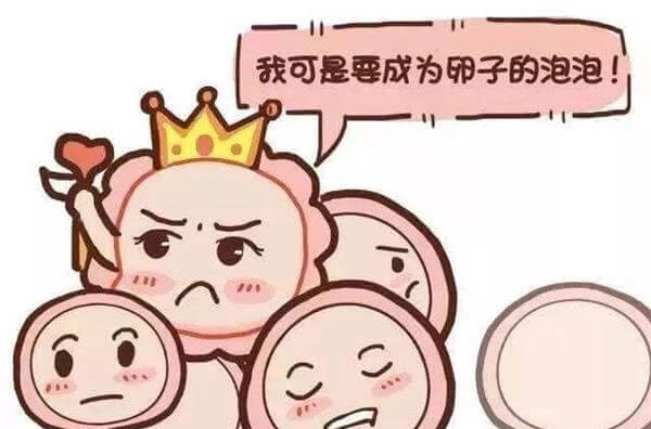 8到12个卵泡是非常理想的状态