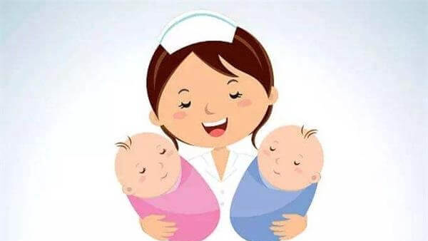 人工受孕后囊胚继续发育分裂并再生