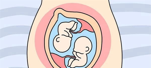 三代试管婴儿可以做双胎