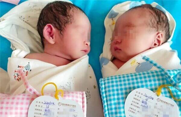 试管生龙凤胎10万元左右