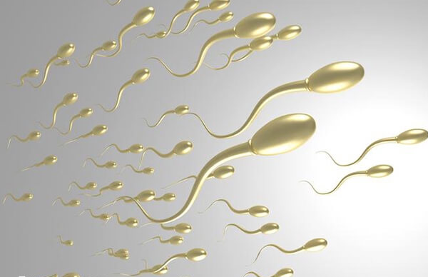 广医三院可以做供精人授