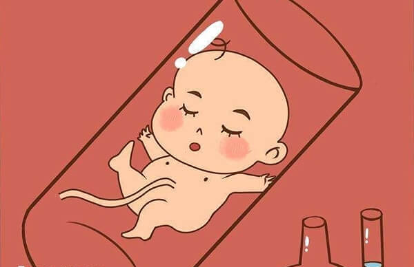 三代试管成功率高