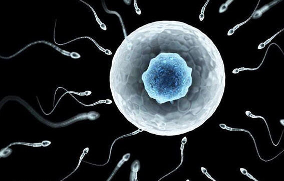 山大生殖供精有条件