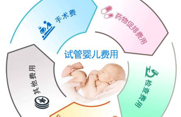 山大生殖试管婴儿费用在3到5万左右