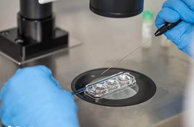 二胎可以继续做试管婴儿