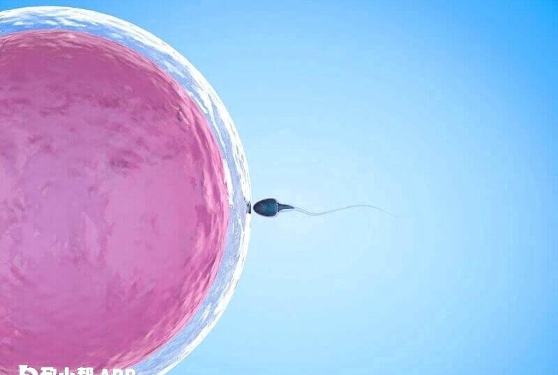 海安有多家不孕不育医院