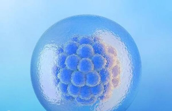 三代试管就是植入前胚胎遗传学诊断技术