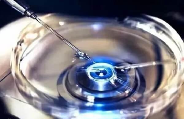 三级鲜胚能养囊