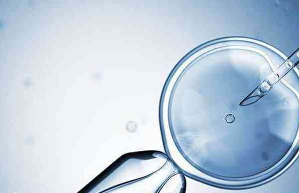 试管婴儿用于治疗不孕不育