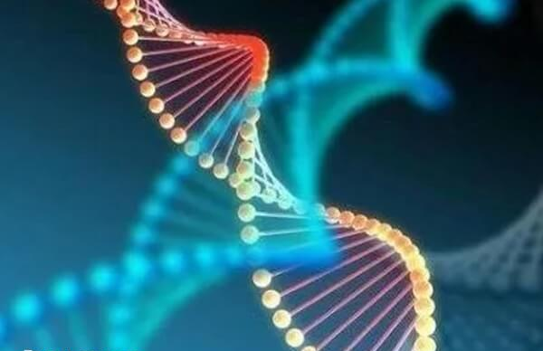 白癜风可能会遗传