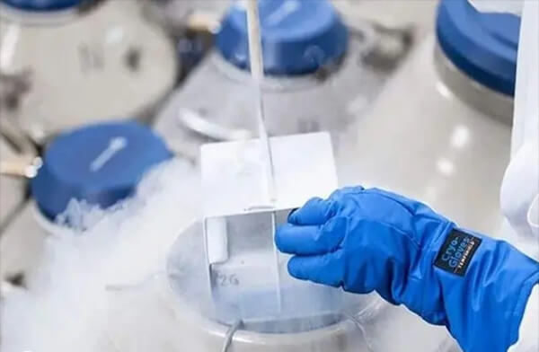 冻胚是放入零下196度的液氮中保存