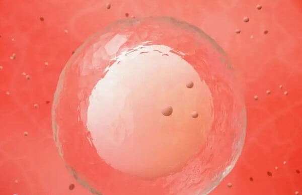 诸城有多家不孕不育医院