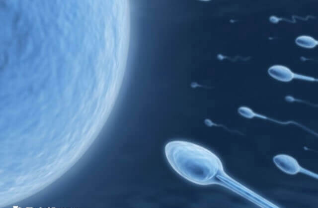 取精前要先禁欲