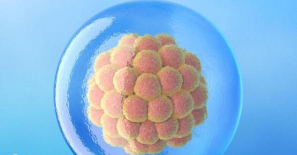 4bb囊胚质量还不错