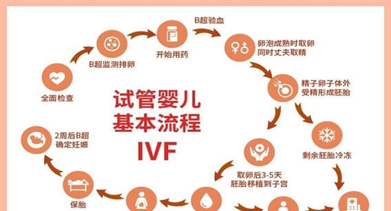 三代试管婴儿基本流程步骤