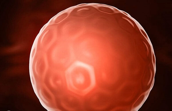 宫腔镜后需要先恢复一段时间