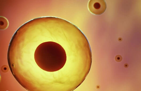 耒阳有多家不孕不育医院