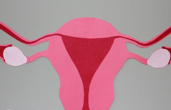 腺肌症会影响做试管婴儿的成功率