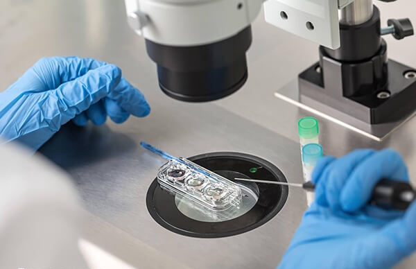 柬埔寨试管婴儿技术好