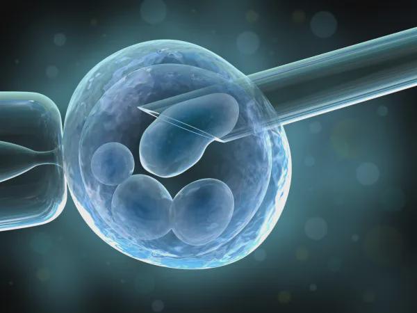 试管婴儿如何培育出优质胚胎?