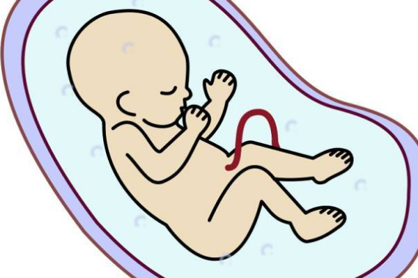 进行试管婴儿前会有哪些顾虑？