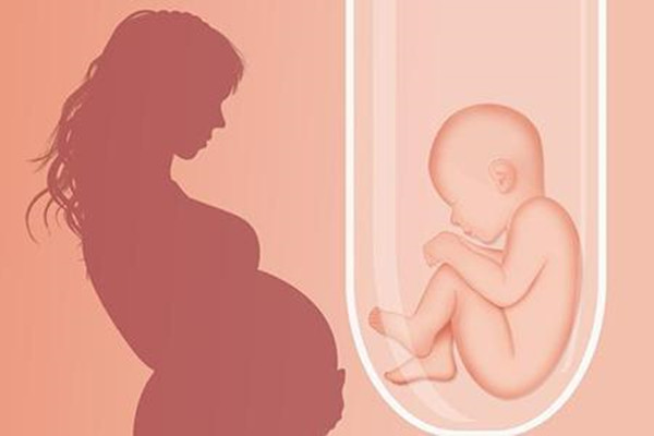 试管婴儿怎样提高胚胎移植成功率?