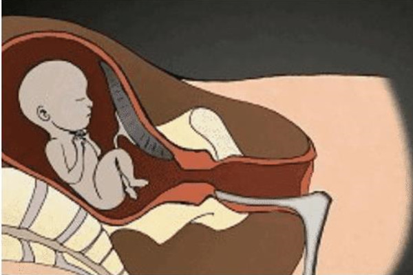 为什么有时候胎儿不爱动?