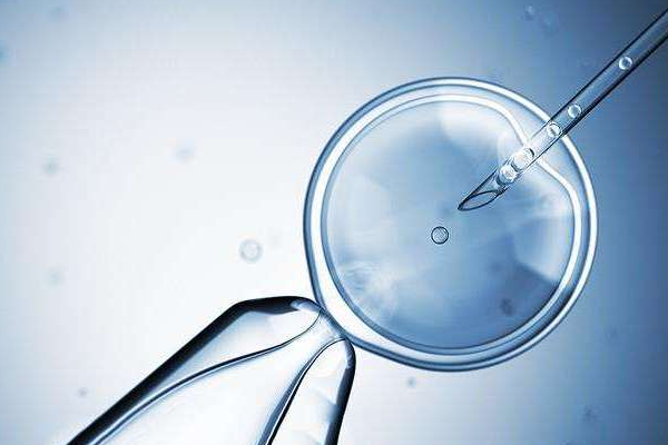 做试管婴儿前是否需要进行排卵监测?